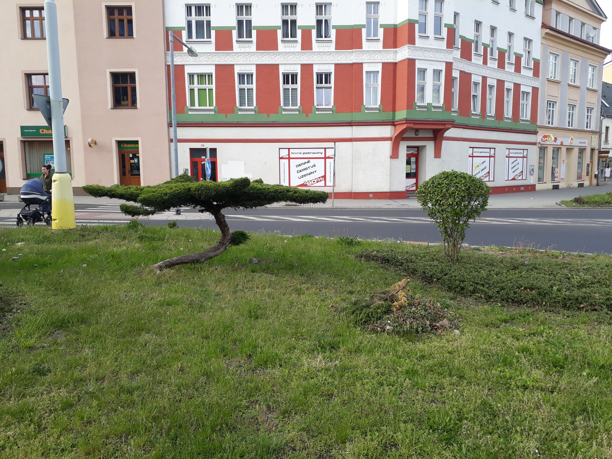 Jak živý a zelený Litvínov je a bude? Rozhovor s K. Nykodýmovou